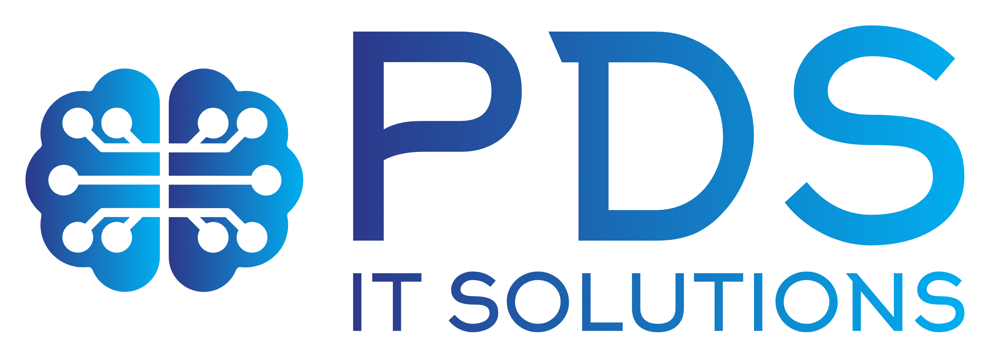 PDS IT Solutions